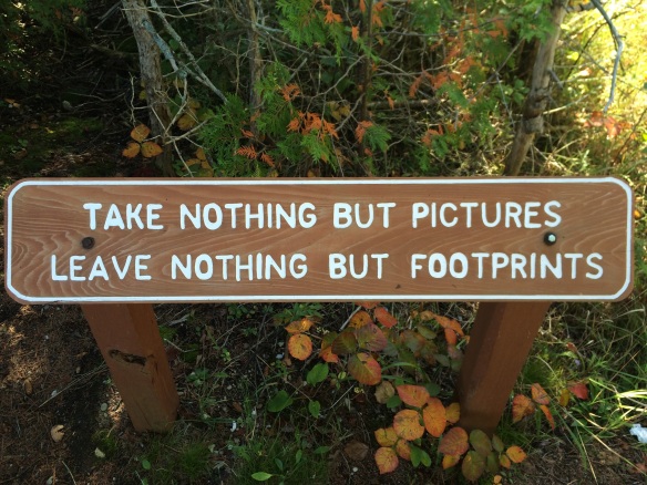 Take nothing but pictures; leave nothing but footprints.